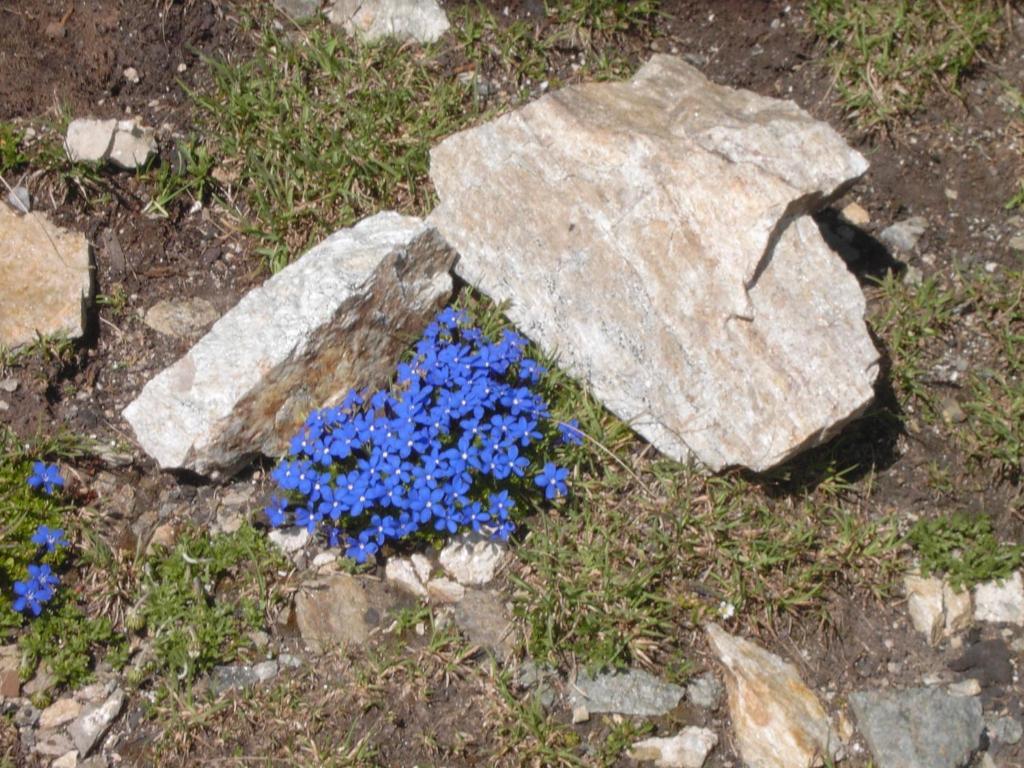 Hotel Rifugio Garibaldi Gebirgspass Stilfser Joch